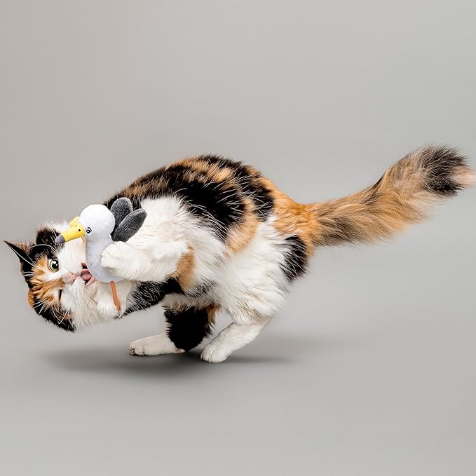 Interactive Cat Toy for Indoor Cats | Catnip Cat Toy | Seagull with Dangling Legs