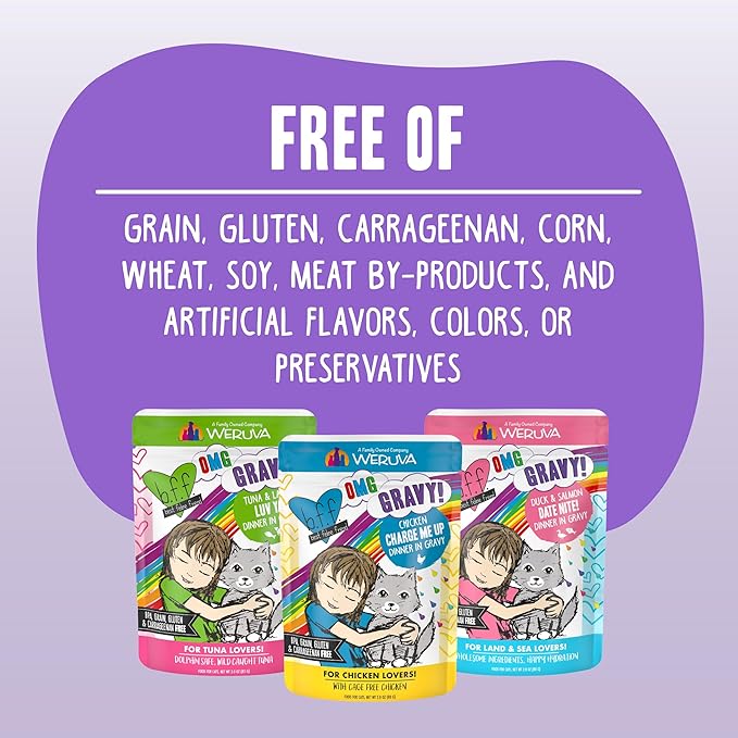 Weruva B.F.F. OMG - Best Feline Friend Oh My Gravy!, Chicken Charge Me Up with Chicken in Gravy, 2.8oz Pouch (Pack of 12)