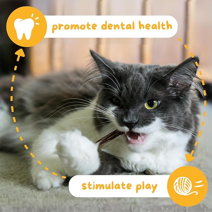 Hide & Scratch Premium Silvervine Sticks for Cats with Gall Fruit Powder for Extra Potency; Cat Enrichment Cat Chew Toy and Dental Sticks - More Effective Than Catnip Toys! (3 Packs of 12)