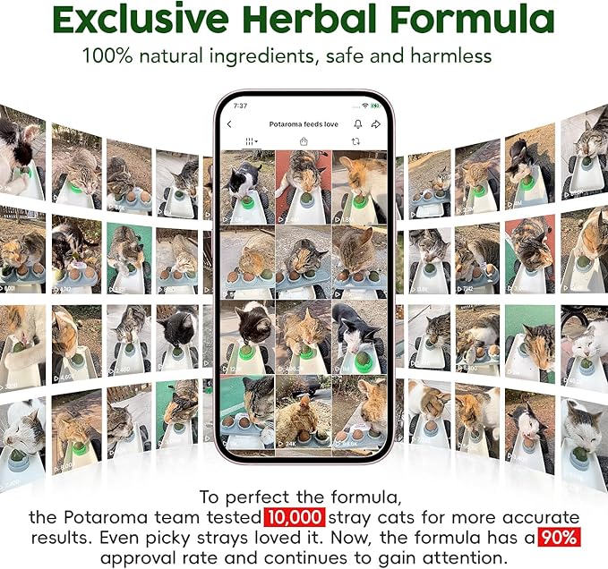 Potaroma Catnip Silvervine Balls 4 Pcs Extra Cat Energy Ball, Edible Kitten Lick, Teeth Cleaning Dental Chew Wall Treats for All Breeds (Grey)