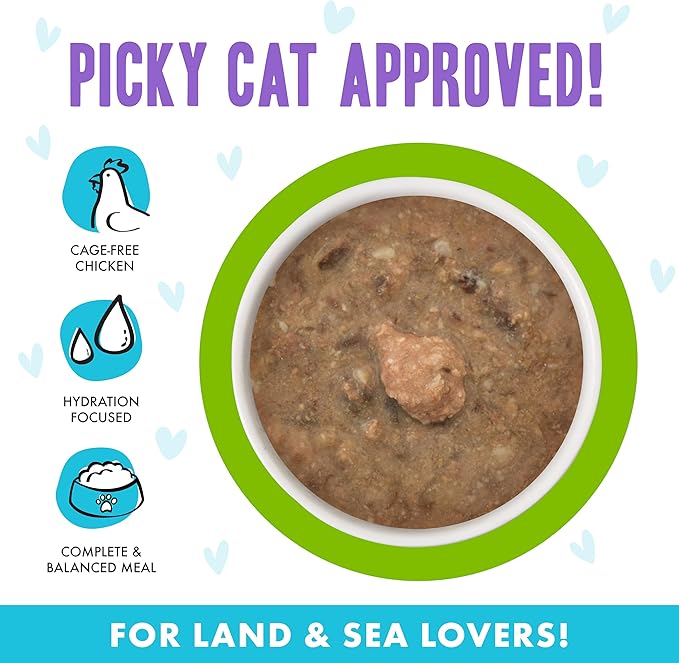 Weruva B.F.F. OMG - Best Feline Friend Oh My Gravy!, Selfie Cam! with Chicken & Lamb in Gravy Cat Food, 5.5oz Can (Pack of 8)