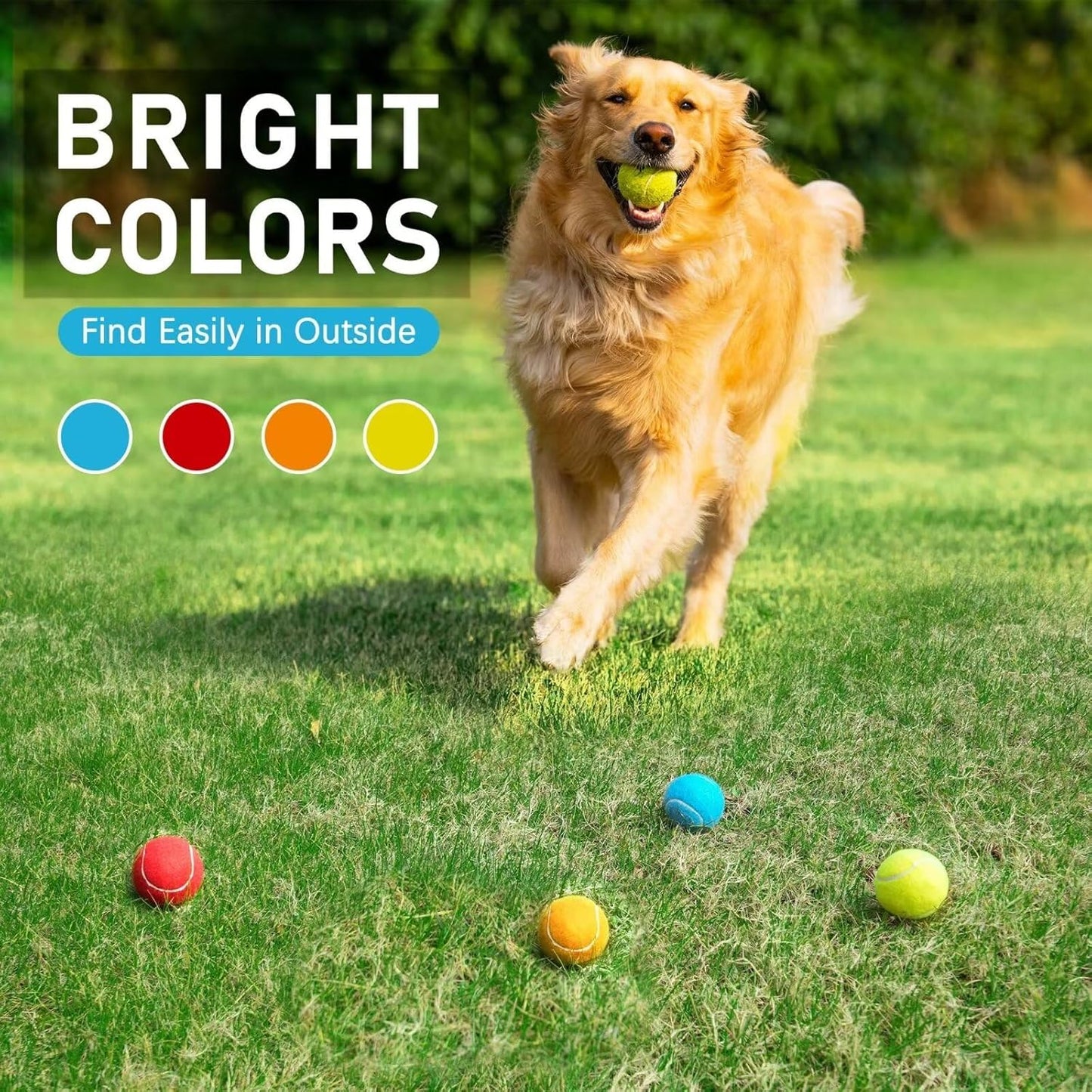 Prime Pets Tennis Balls for Dogs, 2.5 Inch Thick Bouncy Dog Ball, Interactive Dog Toys for Indoor Outdoor, Fetch Balls for Medium, Large Dogs