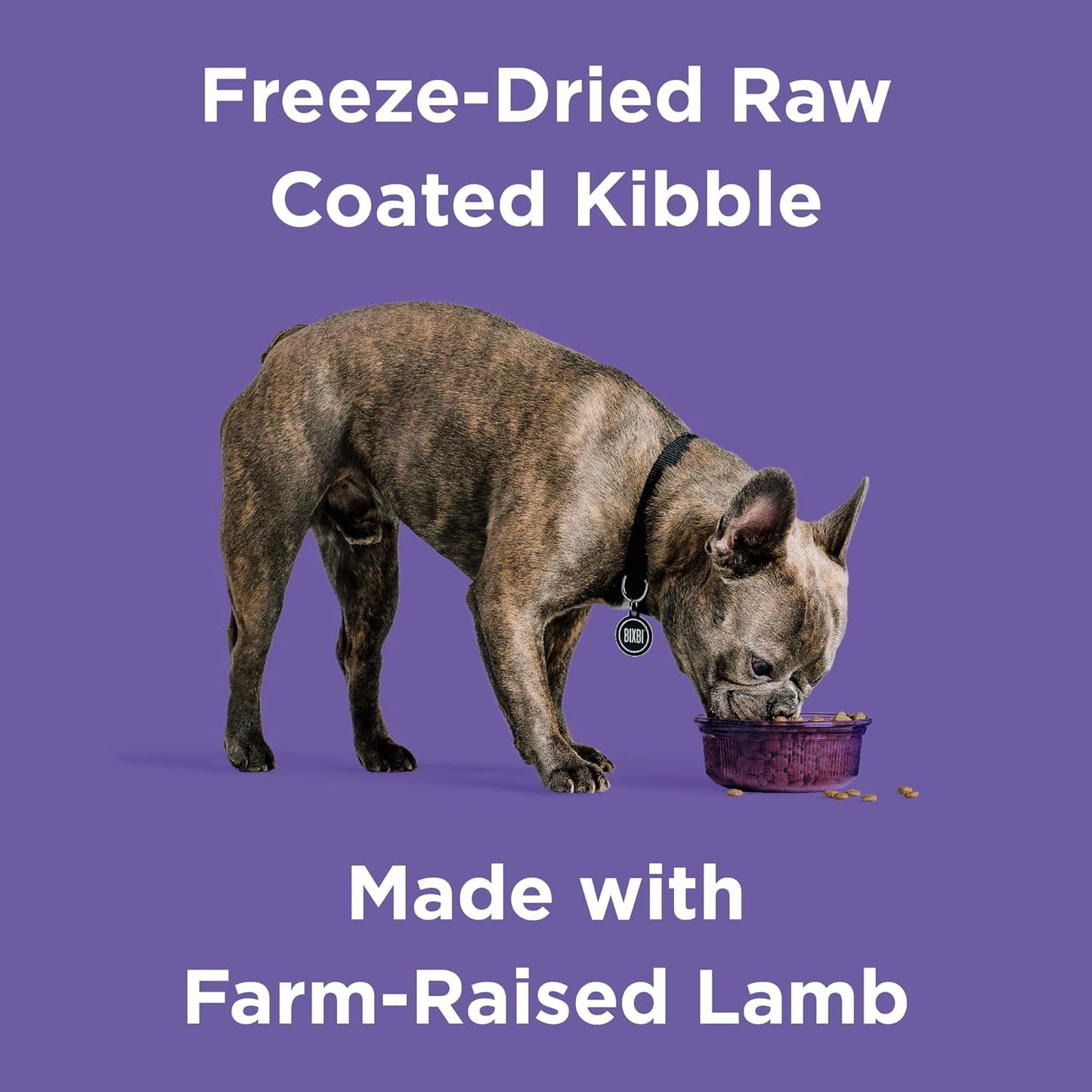 BIXBI Rawbble Dry Dog Food, Lamb, 4 lbs - USA Made with Fresh Meat - No Meat Meal & No Corn, Soy or Wheat - Freeze Dried Raw Coated Dog Food - Minimally Processed for Superior Digestibility