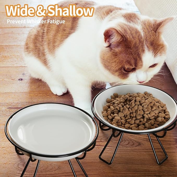 Presents The Ultimate Cat Dining Set: 5.9 inch Ceramic Water Bowl and Whisker-Friendly and Anti-Vomiting Plates.Elevated Bowl, Raised Ceramic Dish with Metal Stand