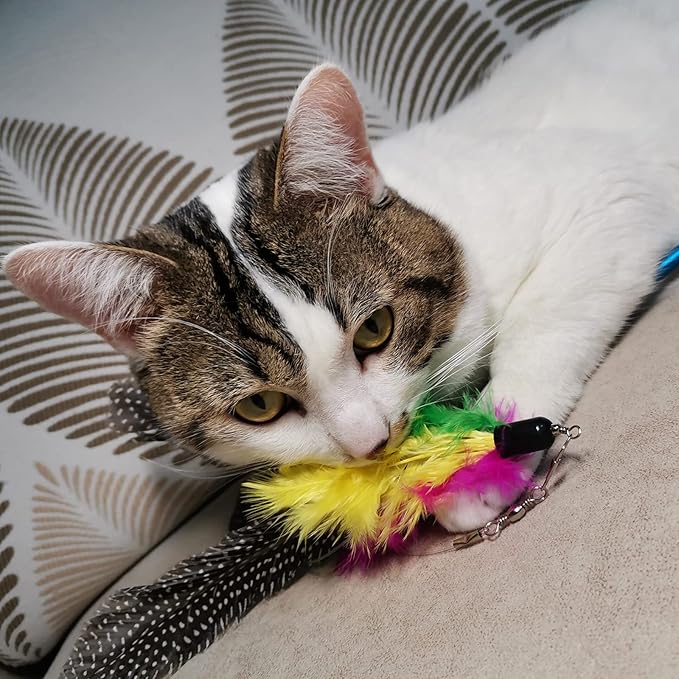 Cat Feather Toys Refills, 10 Pieces Worms Feathers Refills, Cat Wand Replacement Feathers Toy for Indoor Cats