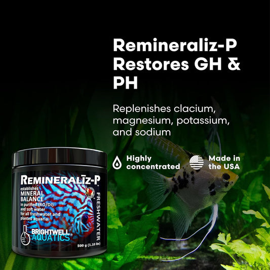 Brightwell Aquatics Remineralīz-P – Restores GH & TDS for Freshwater Aquariums, Replenishes Essential Minerals for RO & Distilled Water, Supports Fish & Plant Health, 250g