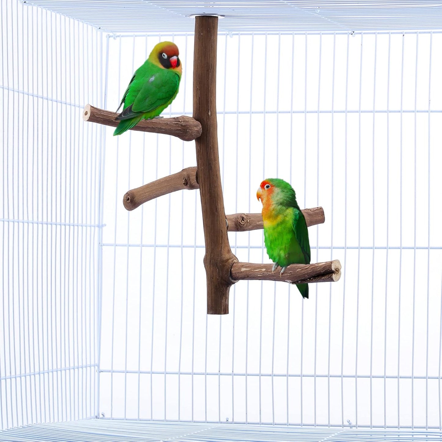 CozyCabin Natural Bird Perch Stand, Hanging Multi Branch Grapevine Parrot Perch Bird Cage Toys for Small Budgies Conure Parrot Parakeets Cockatiels Lovebirds (Branch)