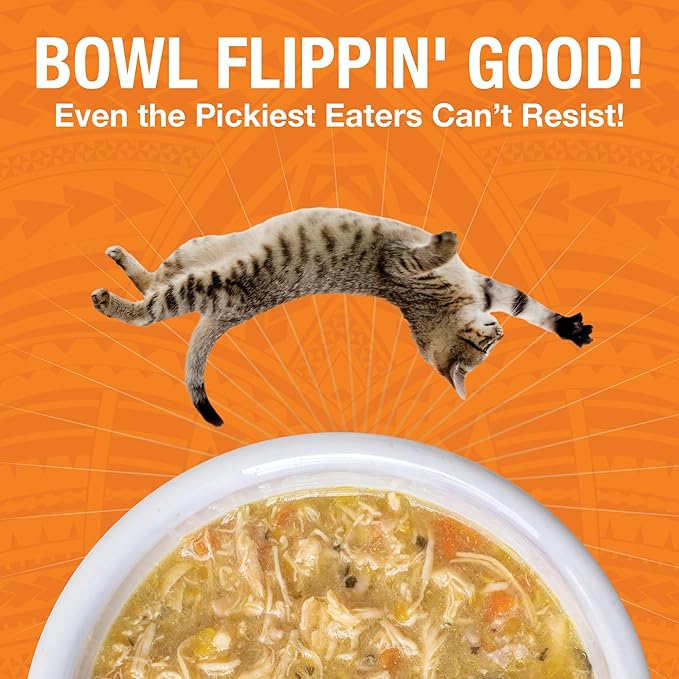 KOHA Pure Shreds Chicken Entrée for Cats, High Protein Wet Cat Food, 2.8oz Cans (Pack of 24)