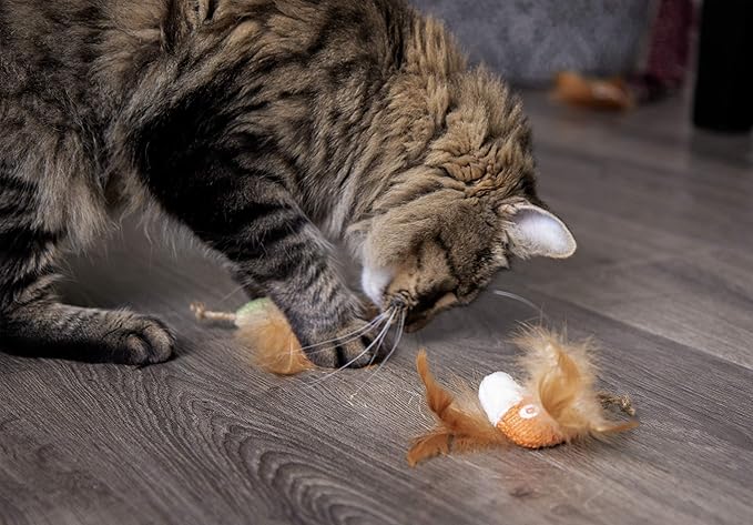 Petlinks (2 Count) HappyNip Love Birds Cat Toys, Contains Silvervine & Catnip - Multi Color, 2 Count