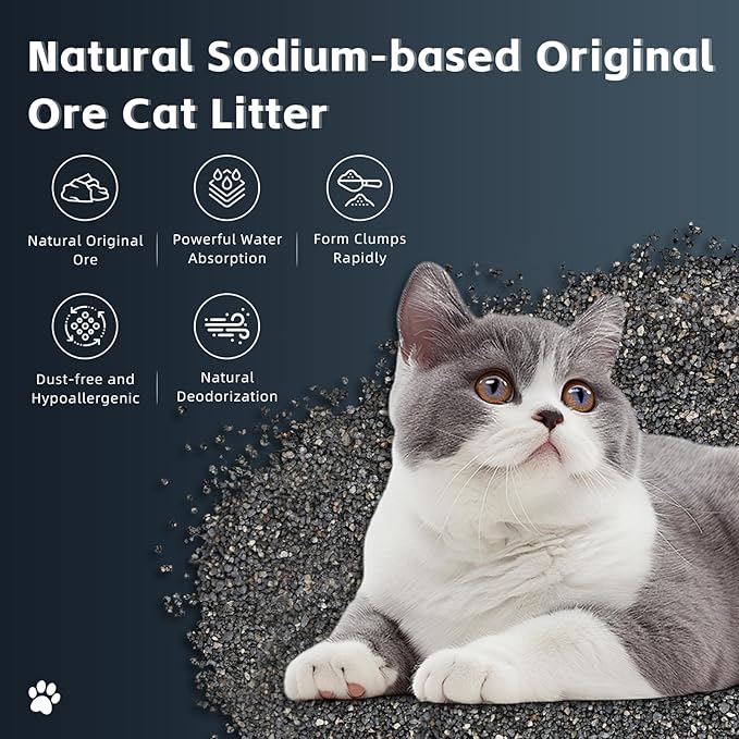 Mineral Ore Clumping Liþer, Natural Sodium-Based Raw Mineral Cat Litter | Dust-Free, Ultra Absorbent, Odor Control | Eco-Friendly, Low Tracking, Clumping Cat Litter 9.9LBS (9.9LBS_Black Diamond)