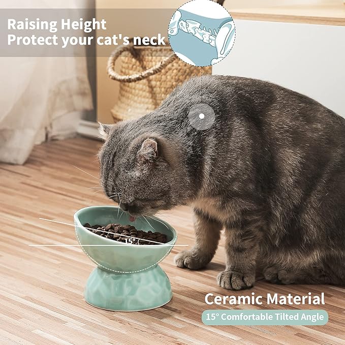 OMAYKEY Ceramic Raised Cat Bowls, Tilted Elevated Cat Food and Water Bowl Set, Porcelain Stress Free Pet Feeder Dish for Cats and Small Dogs, Dishwasher and Microwave Safe, White & Green, Set of 2
