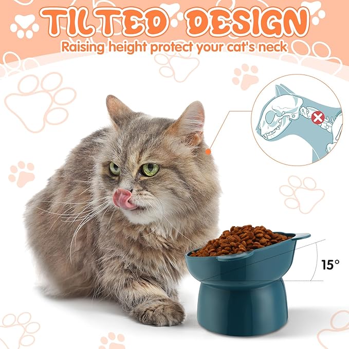 Hsei 6 Pcs Raised Cat Food Bowls 15 Degrees Elevated Pet Bowls Anti Vomiting Tilted Raised Whisker Friendly Raised Cat Dish Plastic Slanted Stand for Indoor Pet Food Water Feeder(Cute Color)
