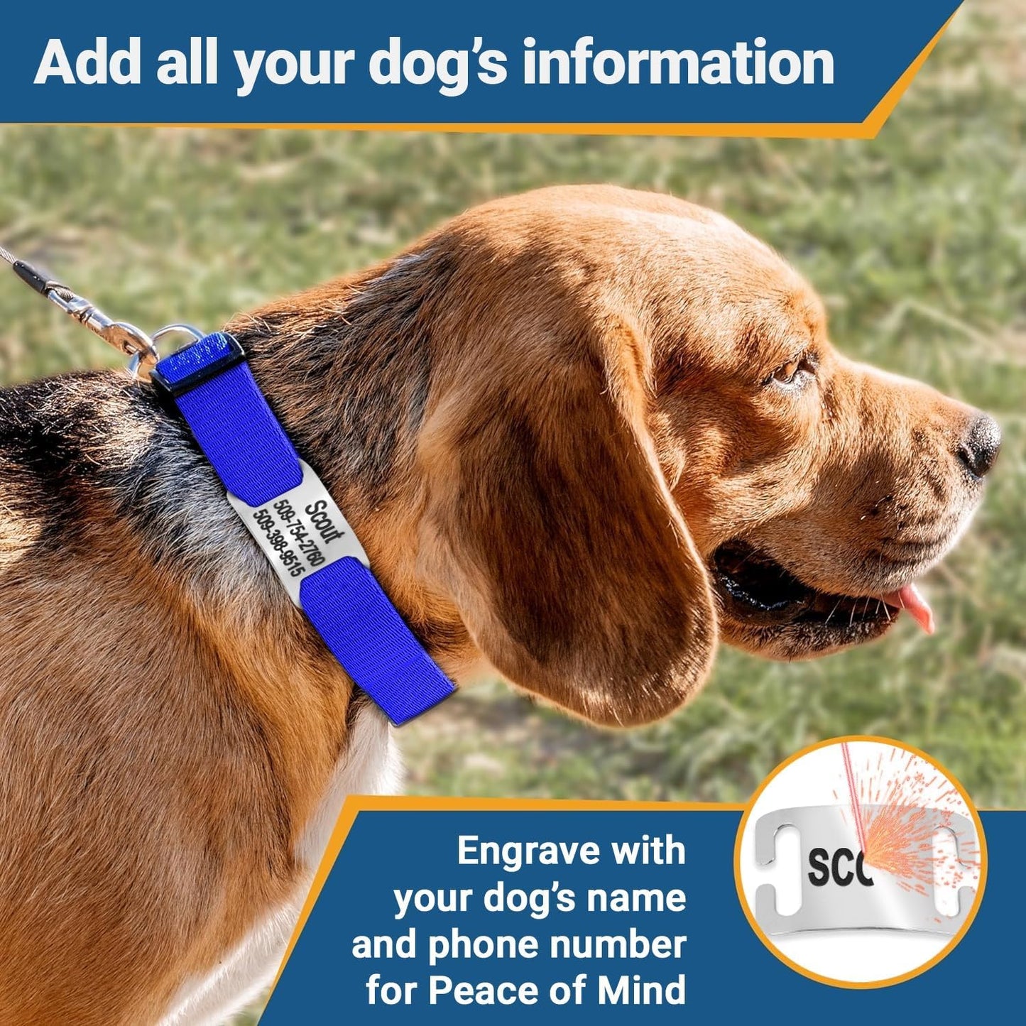 GoTags Personalized Dog Collar with Nameplate, Adjustable Dog Collar with Custom Engraved Slide On Pet ID Tag in Stainless Steel, Silent, No Noise Dog Tag (Beige, X-Small)