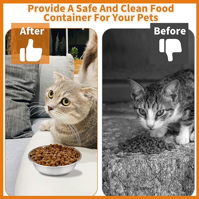 10 pcs Stainless Steel Cat Bowls for Indoor Cats, 5.5" Small Dog Water Bowl, 12 Oz Metal Cat Food Bowl Shallow Pet Bowls, Easy to Clean Dog Dishes for Food and Water (10Pcs)