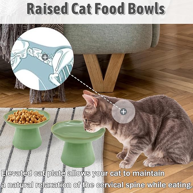 VCEPJH Elevated Shallow Cat Bowls 6.1in Ceramic Cat Food Plate Pack of 2 Raised Cats Dish Flat Anti Whisker Fatigue Wide Pet Food & Water Feeder for Indoor Kitty Kitten (Green)