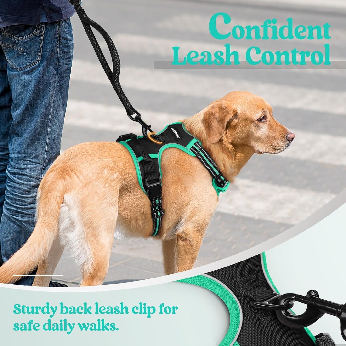 rabbitgoo Dog Harness No Pull with 2 Leash Clips, Adjustable Soft Padded, Reflective Oxford No Choke Pet Vest with Easy Control Handle for Medium Sized Dogs, Black & Turquoise, M