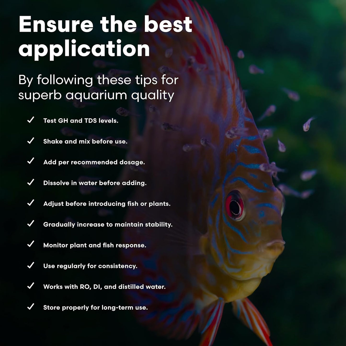 Brightwell Aquatics Remineraliz P - Reconstitutes Reverse Osmosis, Deionized, or Distilled Water for Freshwater Aquarium Use 1000-g