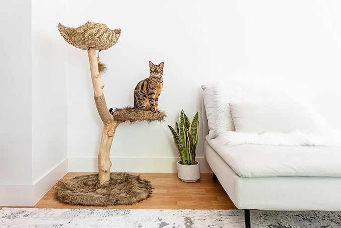 Wooden Cat Tree Tower, Modern Single Branch Cat Condo, Wood Cat Tree, Cat Climbing, Furniture for Cat, Cat Lover Gift, Cat Furniture,Cat Gift by MAU LIFESTYLE (Brown)