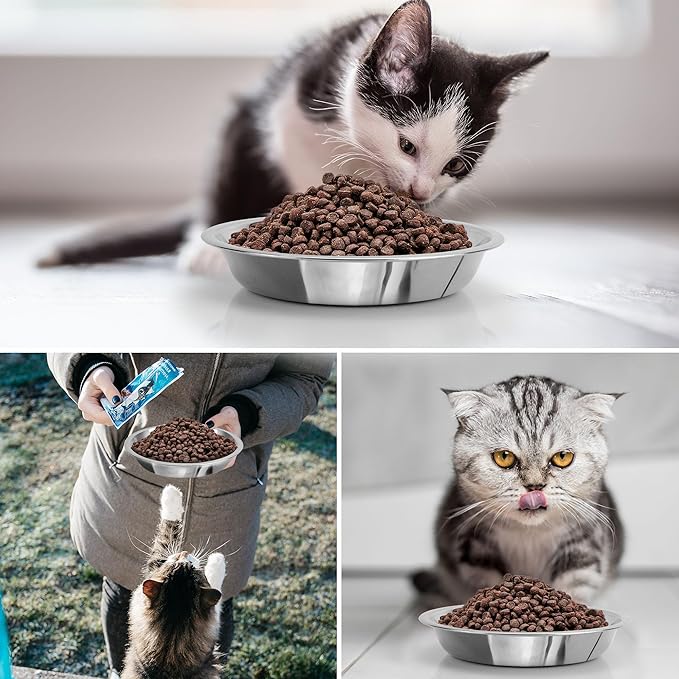 HUOIQUE 10 Pcs Stainless Steel Bowls, Whisker Fatigue Cat Bowl for Food and Water, Metal Shallow Cat Dishes, 6.2 Inches (Thicker)