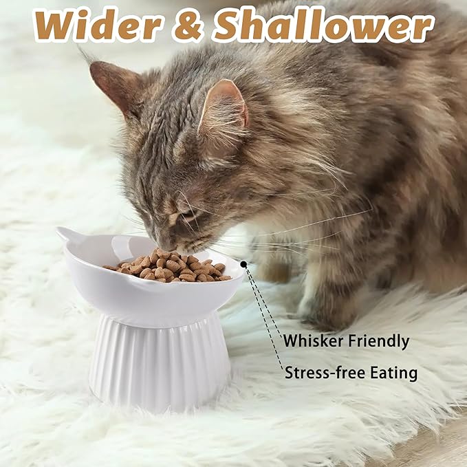 Ceramic Raised Cat Bowl，Tilted Raised Bowl Anti Vomit Bowls for Indoor Cats Whisker Friendly Pet Feeder for Cats Puppies, Microwave and Dishwasher Safe