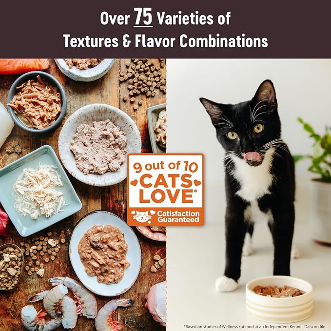 Wellness CORE Tiny Tasters Pate Adult Wet Cat Food, Natural, Protein-Rich, Grain Free, 1.75 Ounce Pouch, 12 Pack (Chicken)