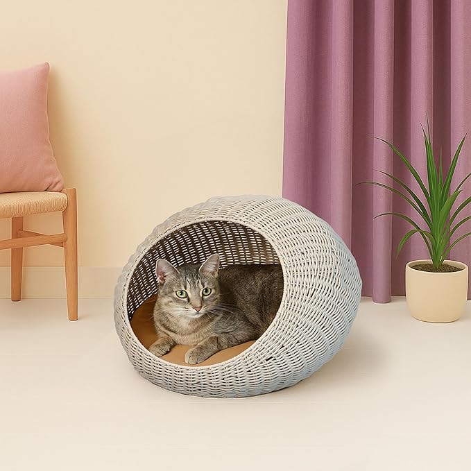 CBD3000C Fiora 19.5" x 18" Modern Circular Faux Wicker Pet Bed with Machine-Washable Cushion, Cat Beds for Indoor Cats, White
