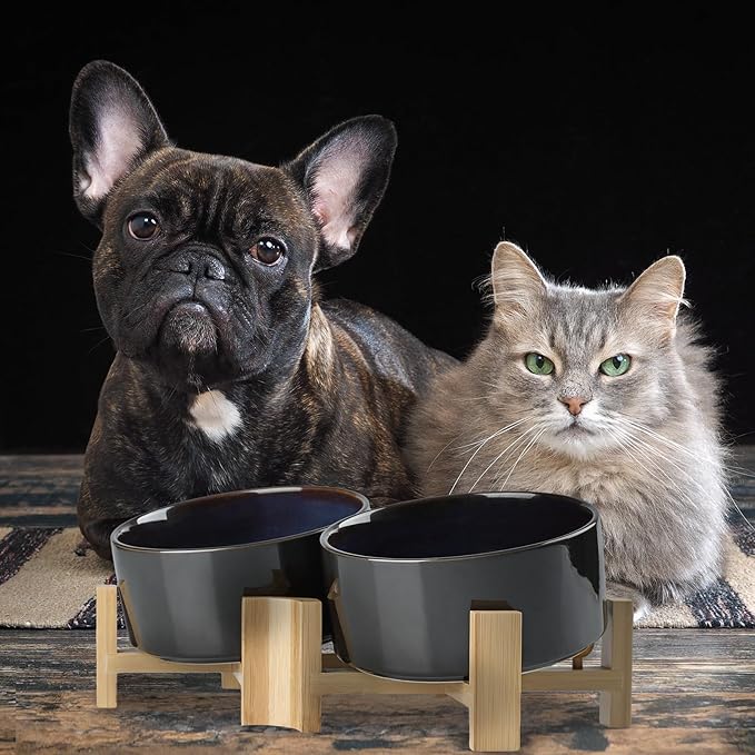 SPUNKYJUNKY 15° Slanted Ceramic Dog and Cat Bowl with Wooden Stand, Tilted Bulldog Food and Water Bowl No Slip Non-Spill for Cats Medium Dogs Big Face Pets 28.7 OZ (3.6 Cups, Starry Blue × 2)