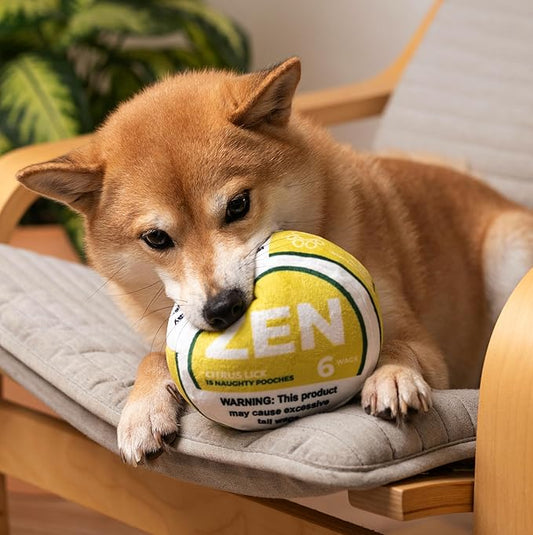 Zen Pupper Deckies Parody Dog Toy - Plush Squeaky and Crinkle Funny Dog Toy (Citrus Lick)