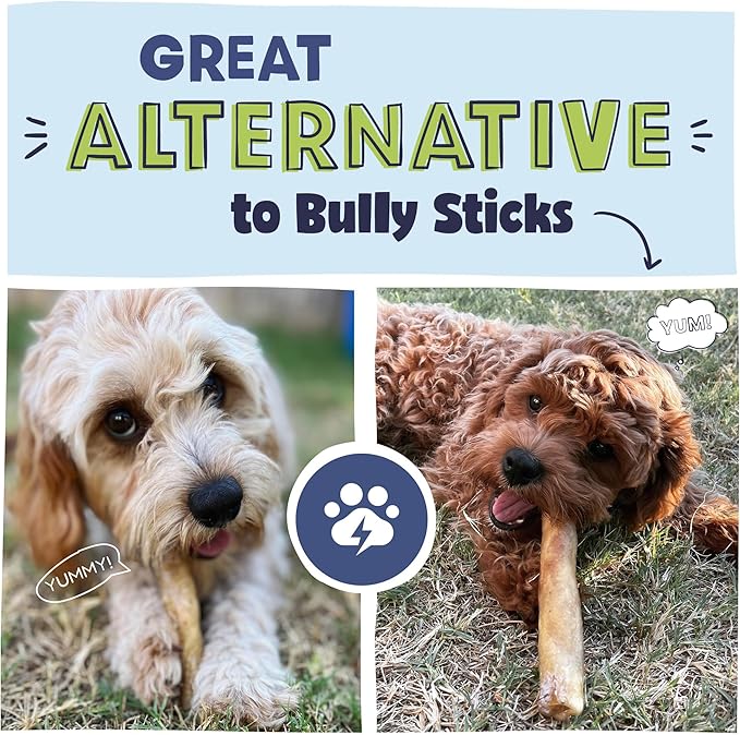 Pawstruck Natural 5-7" Beef Collagen Sticks for Dogs – Long-Lasting Rawhide Alternative, High Protein & Low Fat with Chondroitin & Glucosamine – 5 Pack