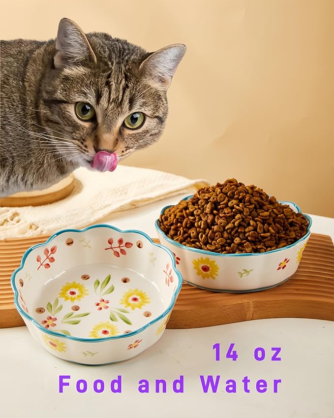 Premium Cat Food Bowl Set of 2, 6' Ceramic Cat Bowls, Cute Shallow Weighted Dishes for Wet Food, Whisker Fatigue Kitten Bowls Large Capacity (Blue)
