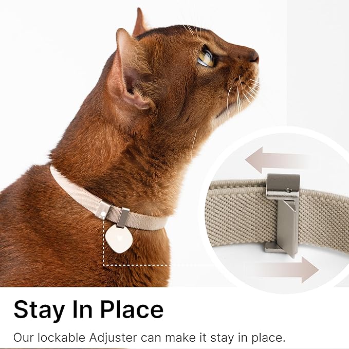 Safety Cat Collar Pro Pendant Tag Set - U.S. IDA Gold Award Design, Elastic Quick Release Non Breakaway Cat Collar Adjustable with Charm for Kitten Small Large Cats (Burgundy, S)