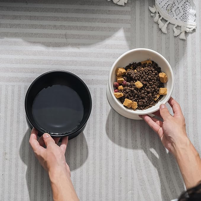 YauYik Ceramic Raised Cat Bowl - Cat Food Bowl Elevated Tilted for Short Leg Cats and Small Dogs - 6 Inches Whisker Friendly Pet Bowl Dish, Reduce Neck Burden Feeding Bowl, Black, 10 Oz