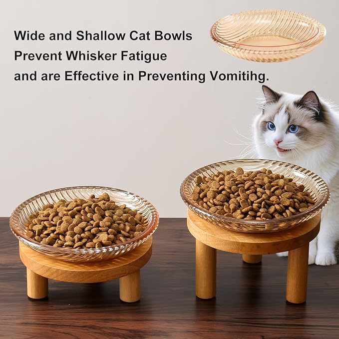Cat Bowls Whisker Friendly with Wooden Stands. Raised Elevated Glass Whisker Fatigue Cat Bowl for Indoor Cats. 2PCS (Amber)