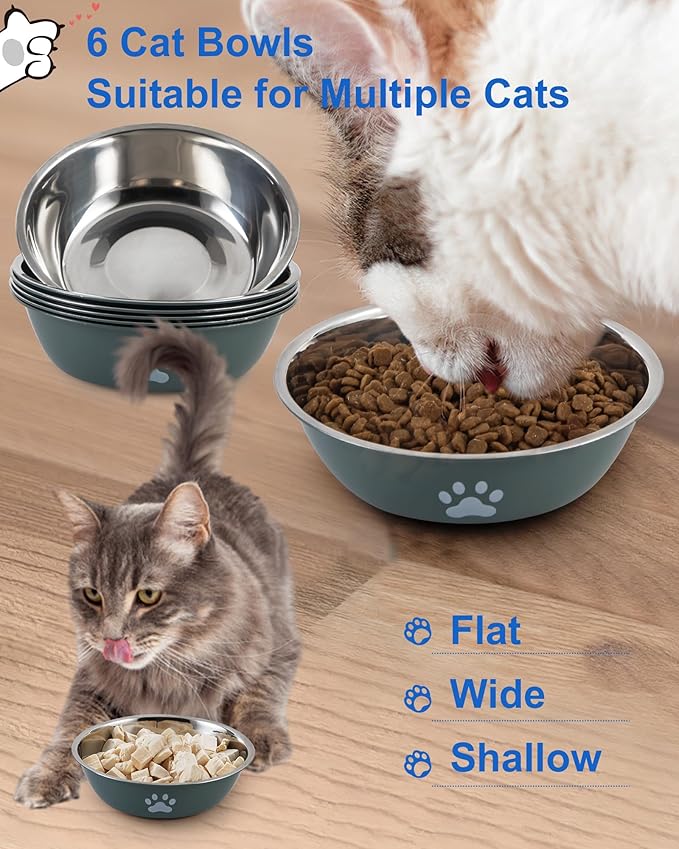 6 PCS Stainless Steel Cat Bowls, Non-Slip Stainless Cat Food Bowl Metal Cats Dishes Whisker Fatigue Kitten Plates Shallow Wide Kitten Bowls, 5.5” Whisker Friendly Feline Food Dish (Green 6 PCS)