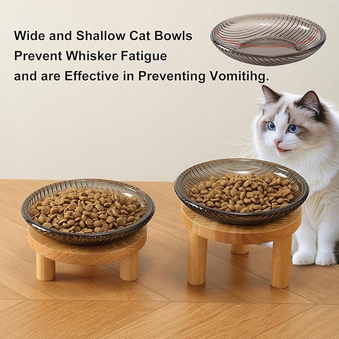 Cat Bowls Whisker Friendly with Wooden Stands. Raised Elevated Glass Whisker Fatigue Cat Bowl for Indoor Cats. 2PCS (Black)