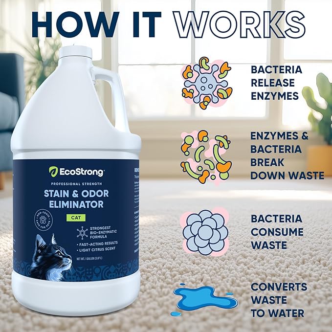 Cat Stain and Odor Remover| Enzyme Urine Odor Neutralizer - Stain Remover for Carpet, Litter Boxes, Bedding, and Laundry [160 Fl Oz Bundle]