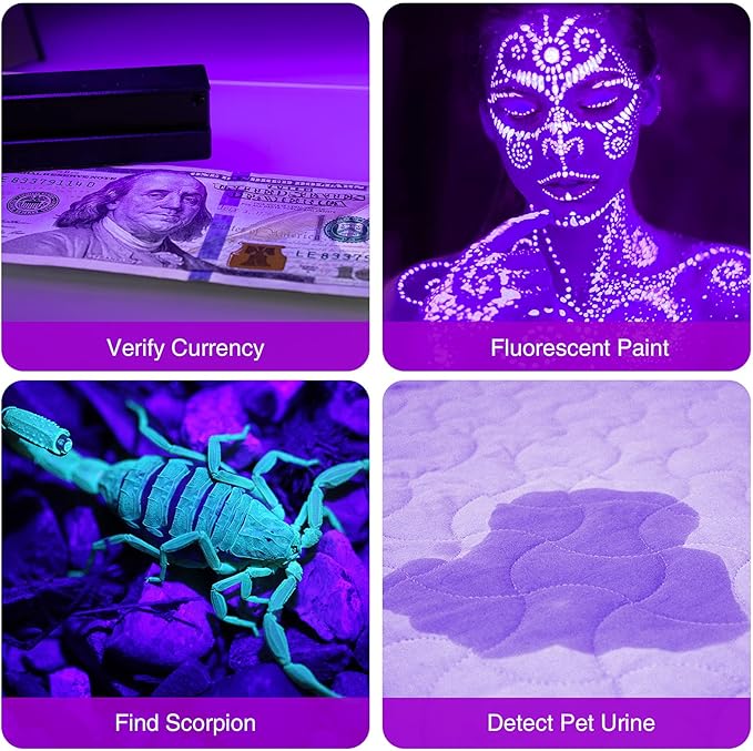SEVENKA Black Light Flashlight, 2 Pack 12 LED UV Blacklight Flashlight, 395nm Handheld Mini Torch Light, Professional Urine Detector for Dog Pet Urine Stains, Bed Bugs and Scorpions.