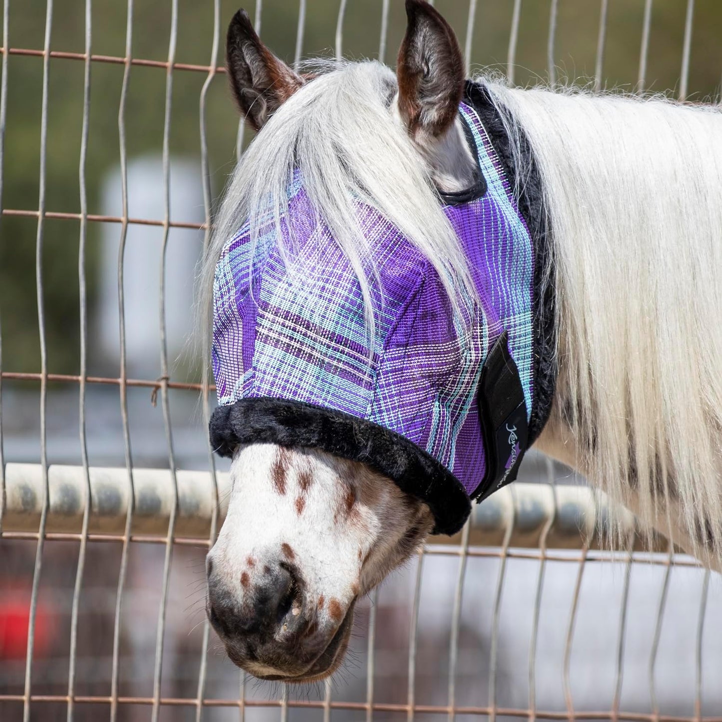 Kensington Fly Mask with Fleece Trim for Horses — Protects Face and Eyes from Flies and Sun Rays While Allowing Full Visibility — Breathable and Non Heat Transferring, X-Large, Lavender Mint