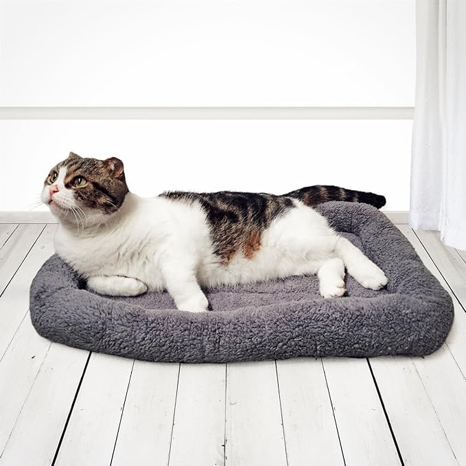 Enjoying Cat Mat Bed 16" x 22" Pet Bed with Pillow Around for Dogs Cats Curled Sleeping Beds for Carrier/Crate Small to Medium Dog Cushion, Anti Skid Bottom, Medium