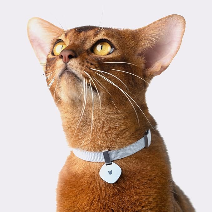 Safety Cat Collar Pro, Lightweight Elastic Release Non Breakaway Cat Collar Adjustable with Snap Fastener for Kitten All Small Large Cats, US IDA Gold Award (Olive, S 5.9-11.8")