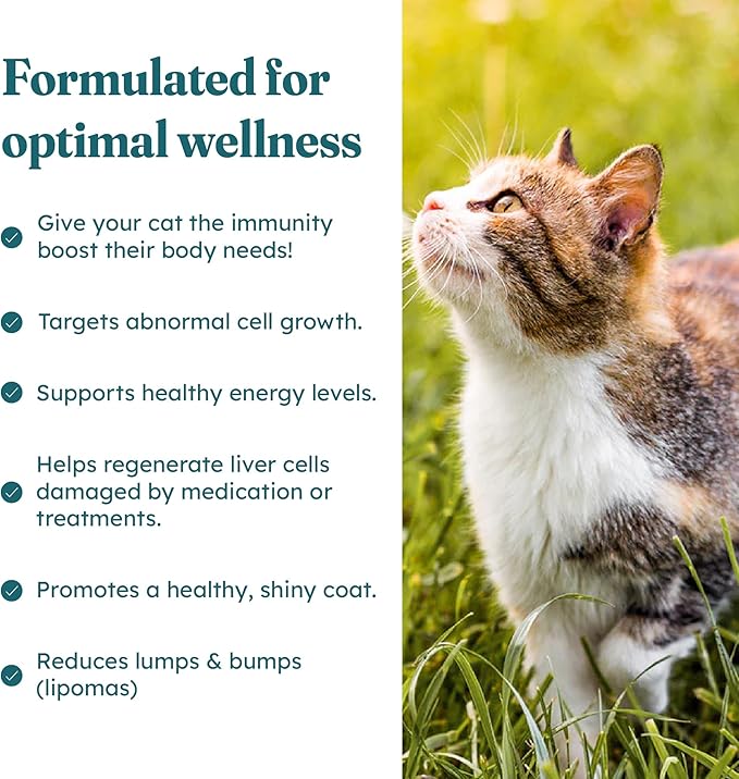 Immune Plus Chews for Cats - Vet-Reviewed - Boosts Immunity & Liver Health with Turkey Tail, Reishi & Milk Thistle | Promotes Shiny Coat & Reduces Lumps | 60 Chicken-Flavored Soft Chews