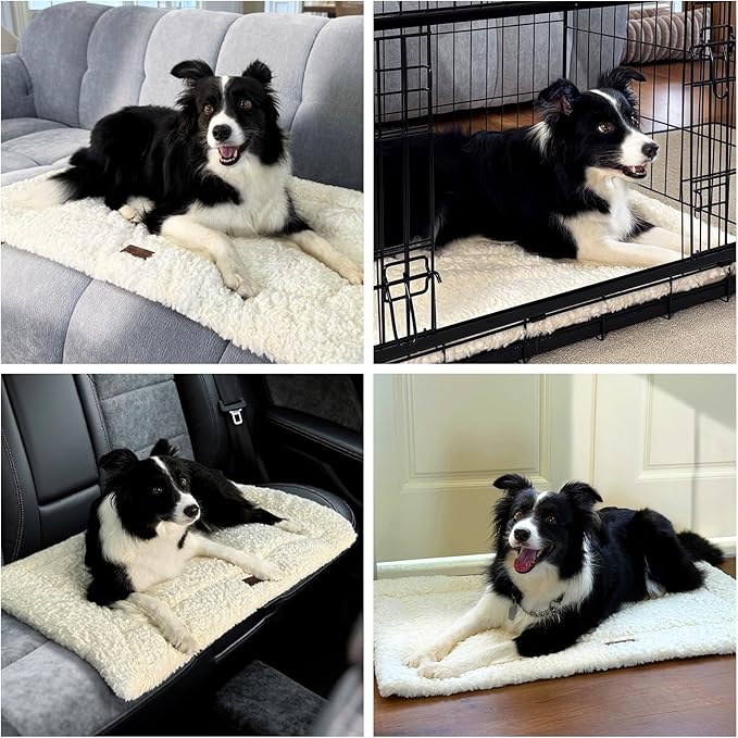 Fluffy Reversible Dog Bed Mat - Ultra Soft & Machine Washable Dog Crate Pad fit for Metal Kennel, Cozy Sleeping Mat, 41" x 27", Beige