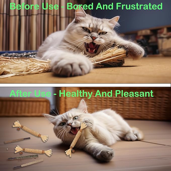 Cat Toys 10Pack Kitten Silvervine Toy Indoor Catnip Toys Kitty Chew Stick with Feather Kitten Treat for Teeth Cleaning Dental Mint Snack Molar Wood Food for Bordrom Exercise Interactive