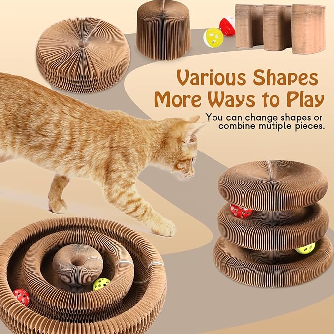Double-Layer Cat Track Ball Toy, Cat Ball Adventure The Ultimate Interactive Mental Physical Exercise for Indoor Cats Toy