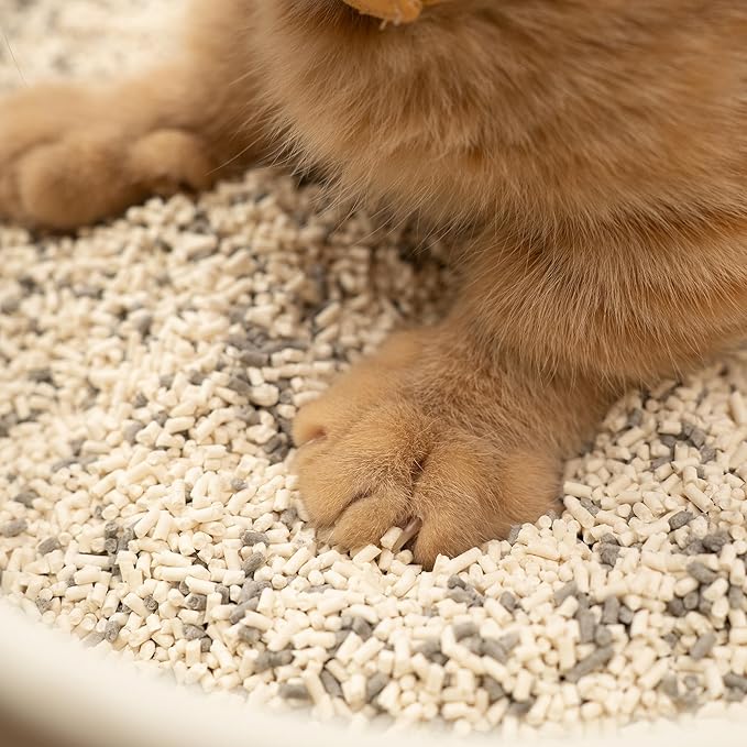 Lady N Granular Tofu Cat Litter Mini-Pellet Compatible with Automatic Self Cleaning Cat Litter Box, Strong Clumping Ultra Absorbent Natural Litter, Low Tracking, Odor Control Activated Charcoal 9lb