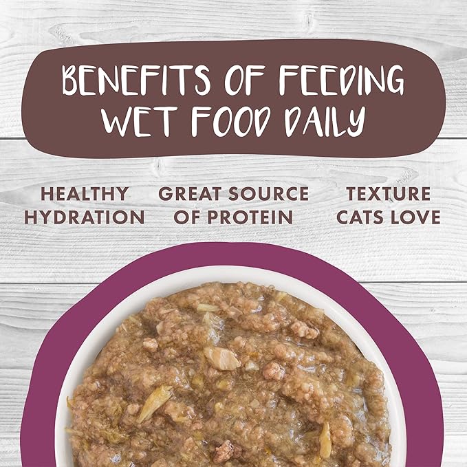 Weruva Classic Cat Stews, Stick A Spork in It with Duck & Salmon in Gravy, 3oz Pouch (Pack of 12)