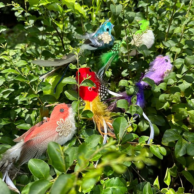 Cat Feather Toys Refill, 5 Pieces Cat Wand Attachments Feathers Bird Toy for Indoor Cats