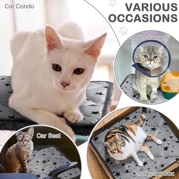Self Warming Cat Bed Self Heating Dog Mat Star Pattern Warm Thermal Pet Pad Reflects Body Heat Washable Soft Puppy Crate Pad Anti Slip Kennel Mat for Pets(Grey,24'' L X 35'' W X 0.4'' Th)