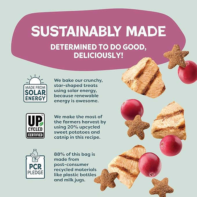 Shameless Pets Crunchy Cat Treats - Kitty Treats for Cats with Digestive Support, Natural Kitten Treats with Real Chicken, Healthy Flavored Feline Snacks - Cran You Say Chicken, 1-Pk