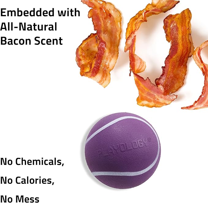 Playology Dog Toys | Squeaky Chew Ball - Squeaky and Bouncy Durable Floating Fetch Ball for Dogs | Jumbo Sweet Potato Scented Toy - Easy to Clean and Made from Non Toxic Materials